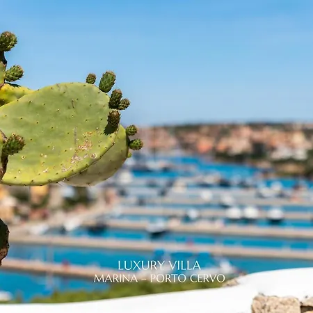 Villa Clicksardegna In Front Of Harbour Marina - Luxury Living A
